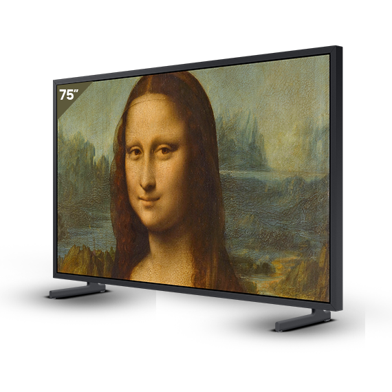LS03B (The Frame - QLED 4K TV)