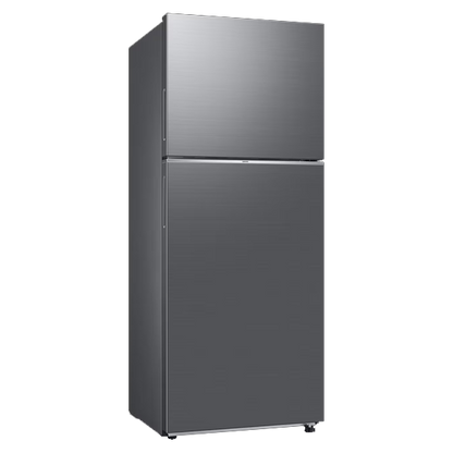 Top Mount 393L Refrigerator | RT38CG600