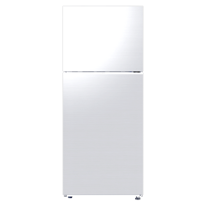 Top Mount 393L Refrigerator | RT38CG600