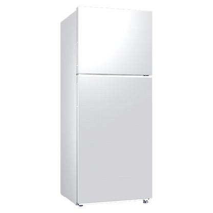 Top Mount 393L Refrigerator | RT38CG600