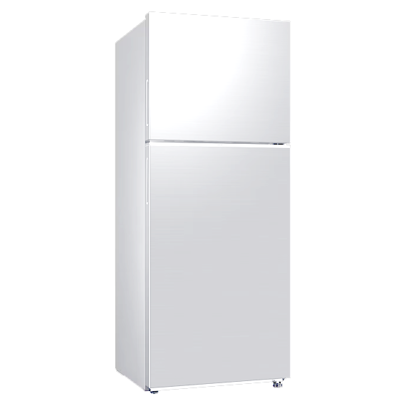 Top Mount 393L Refrigerator | RT38CG600