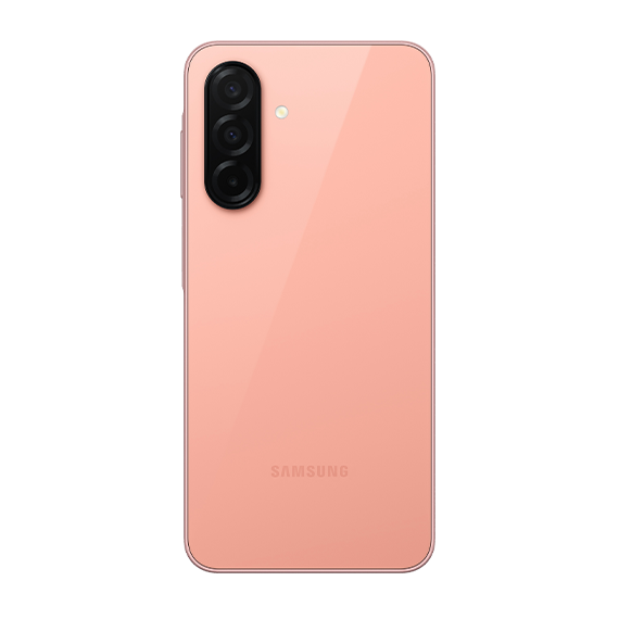Samsung Galaxy A26 5G (SM-A266B)