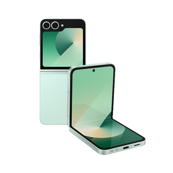 Samsung Galaxy Z Flip6 5G (SM-F741B)