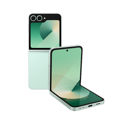 Samsung Galaxy Z Flip6 5G (SM-F741B)