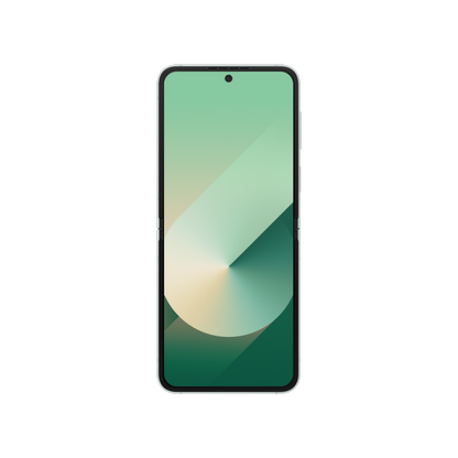 Samsung Galaxy Z Flip6 5G (SM-F741B)