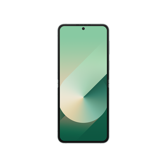 Samsung Galaxy Z Flip6 5G (SM-F741B)