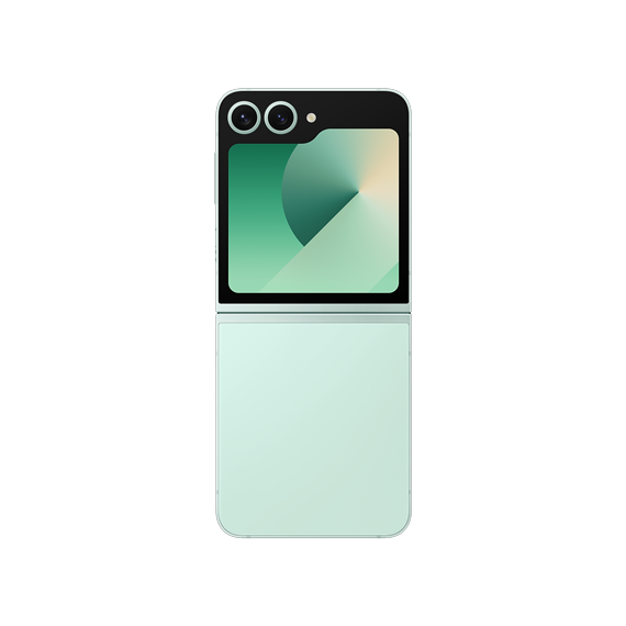 Samsung Galaxy Z Flip6 5G (SM-F741B)