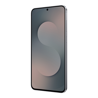 Samsung Galaxy S25 FE 5G (SM-S731B)